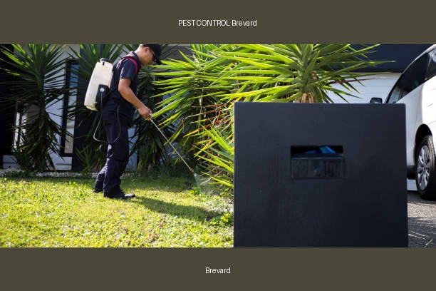 PEST CONTROL Brevard